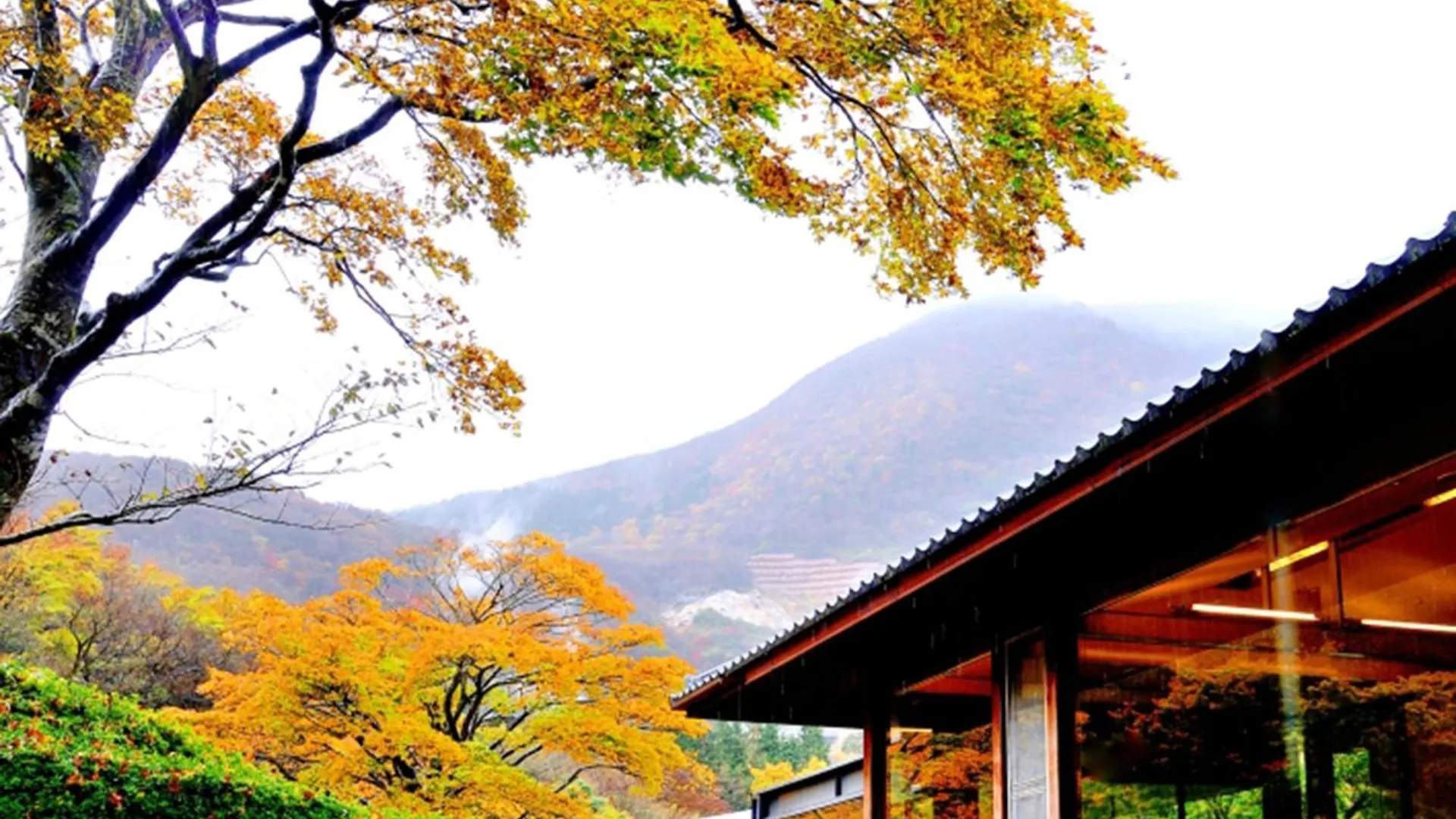 Ryokan Hakone Yunohana Prince Hotel Kanagawa