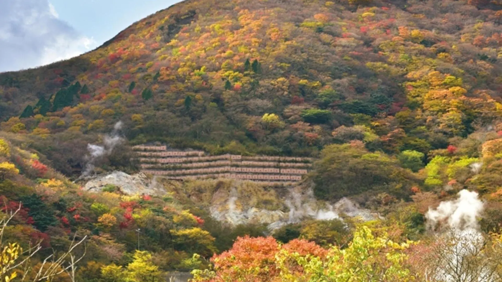 Hakone Yunohana Prince Hotel Kanagawa 4*,