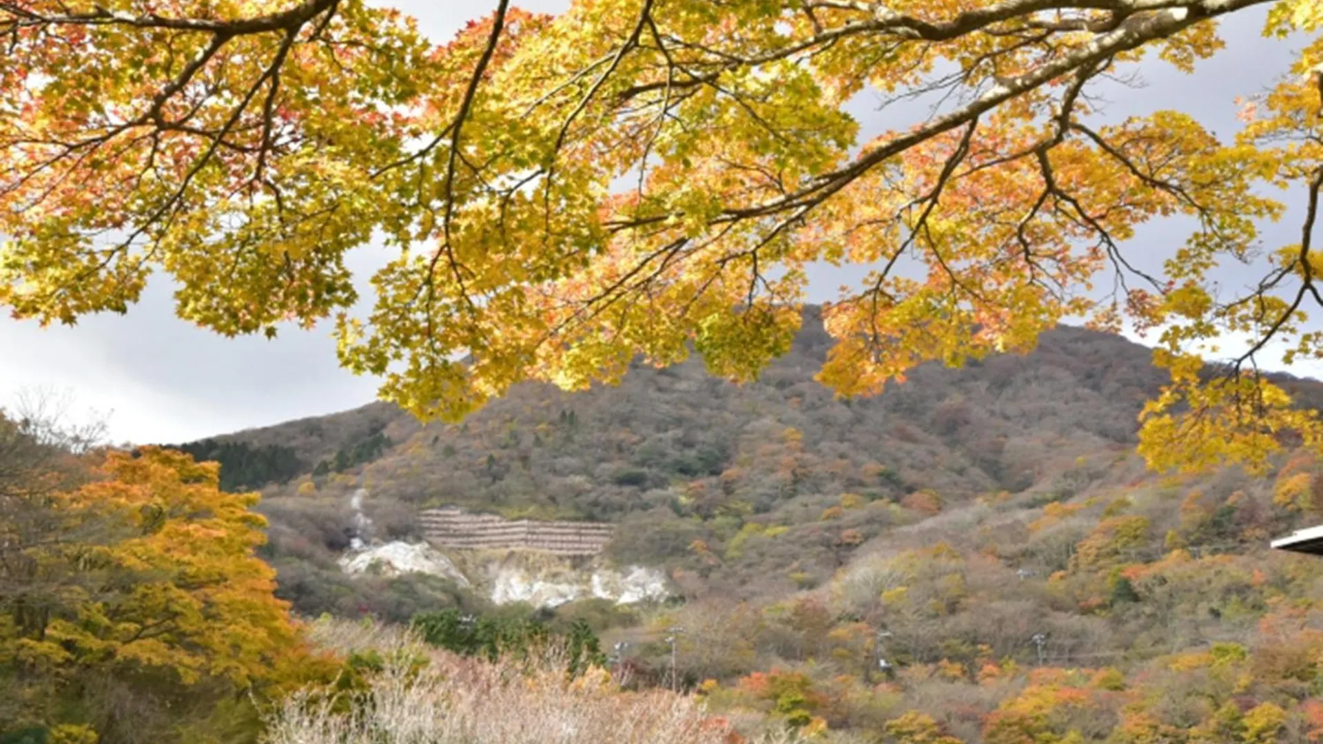 Hakone Yunohana Prince Hotel Kanagawa Japan