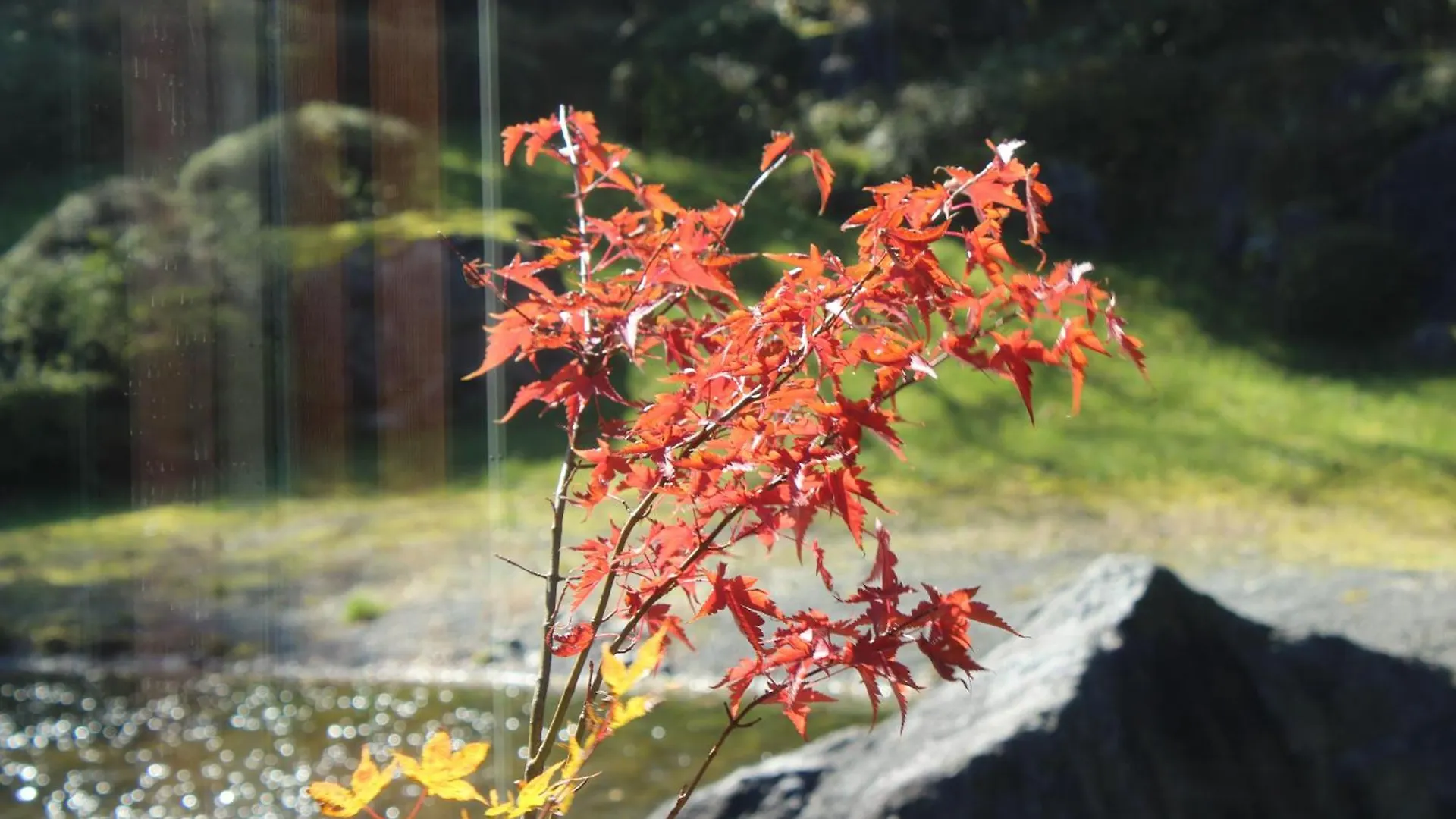 Hakone Yunohana Prince Hotel Kanagawa Japan