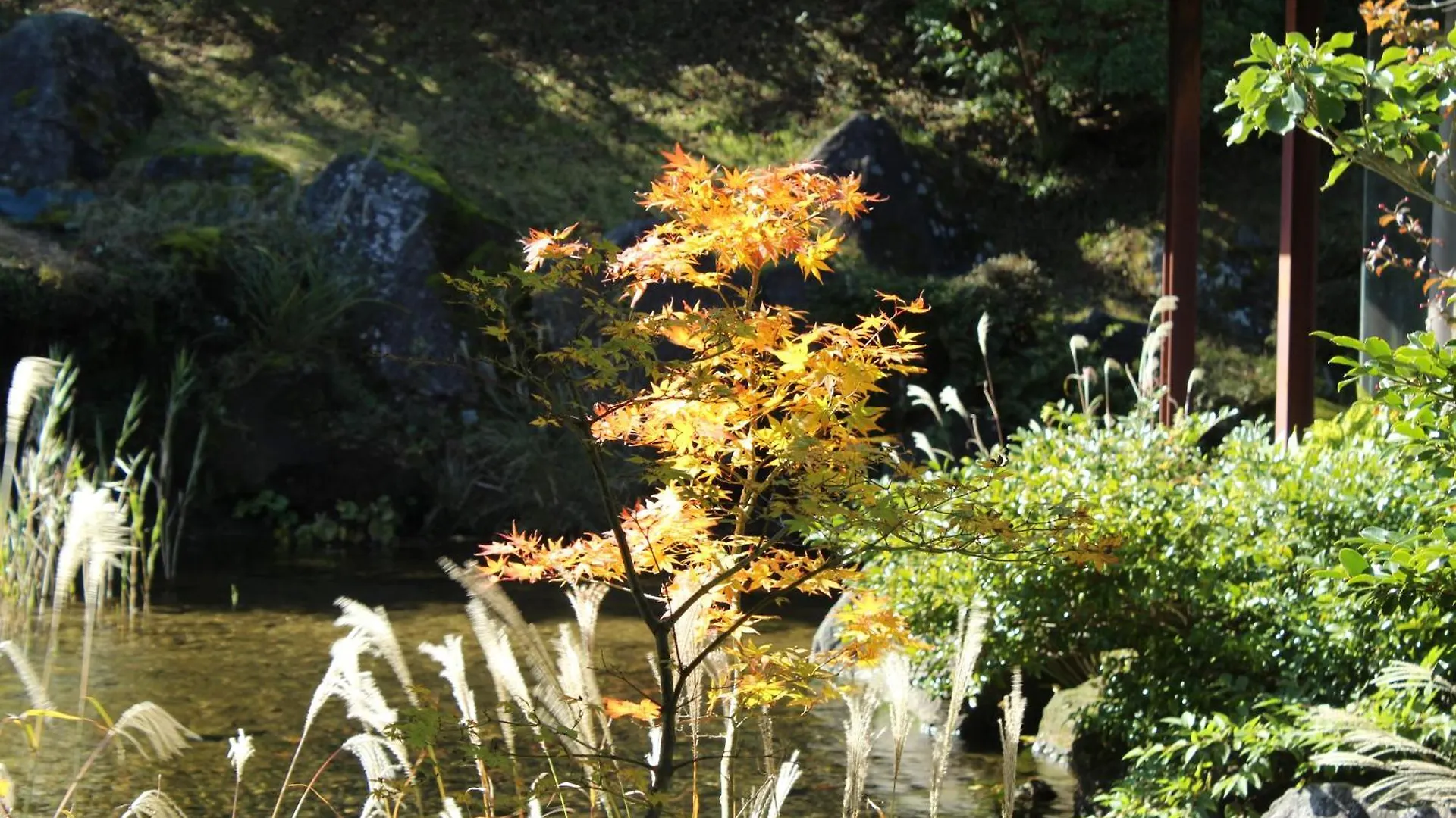 Ryokan Hakone Yunohana Prince Hotel Kanagawa