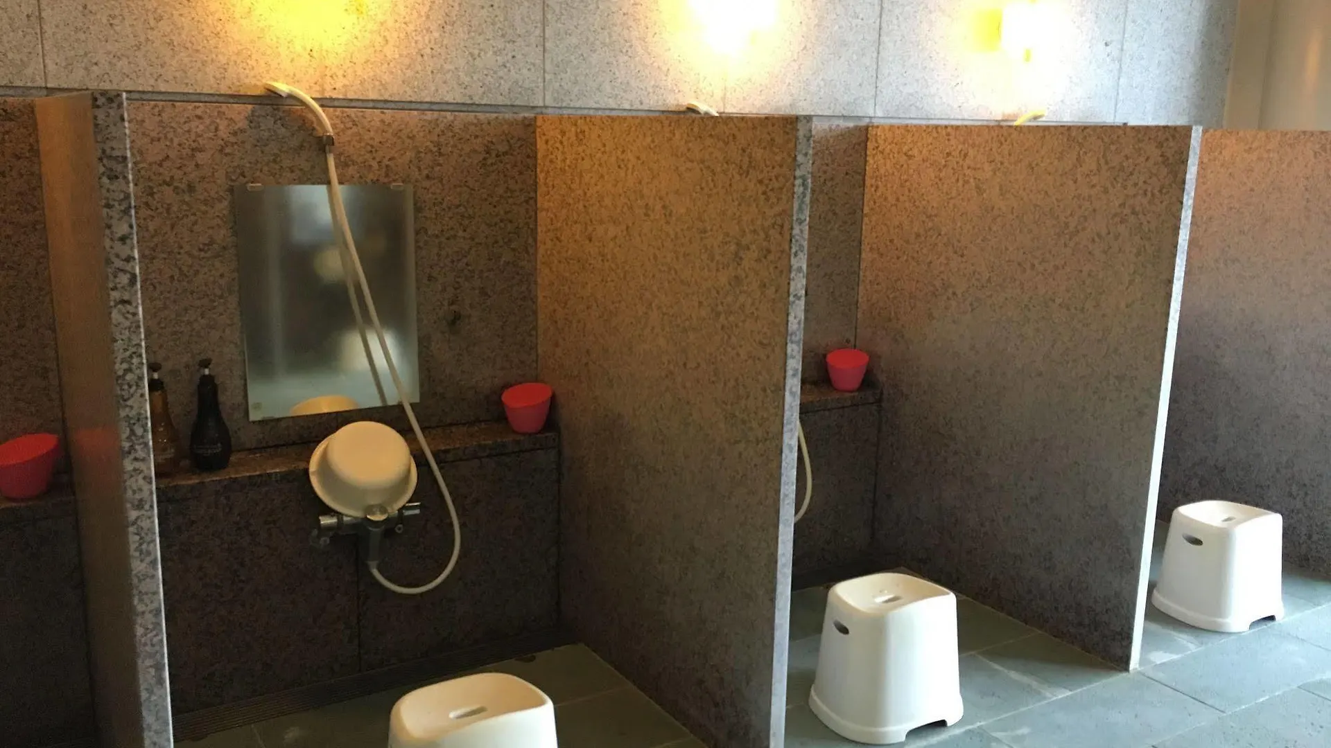 Hakone Yunohana Prince Hotel Kanagawa Ryokan